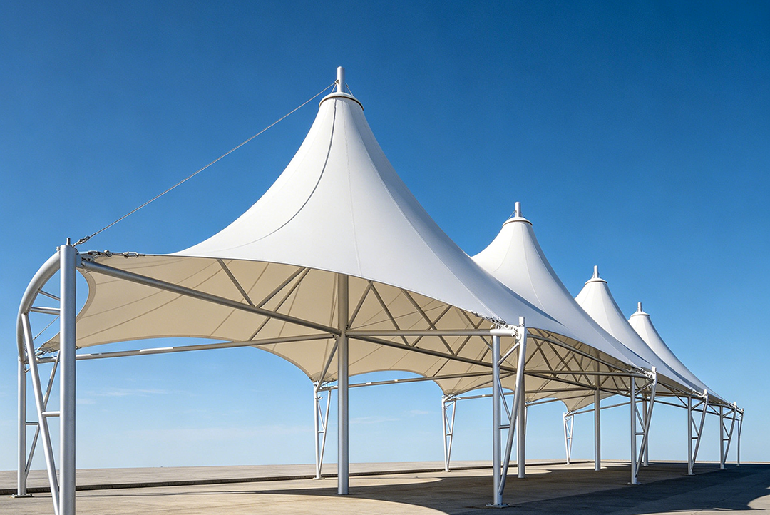 膜结构-雨棚(图1)